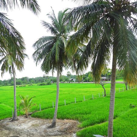 Green Sapphire Holiday Resort Wilpaththu Wilpattu Extérieur photo